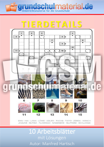 TIERDETAILS.pdf